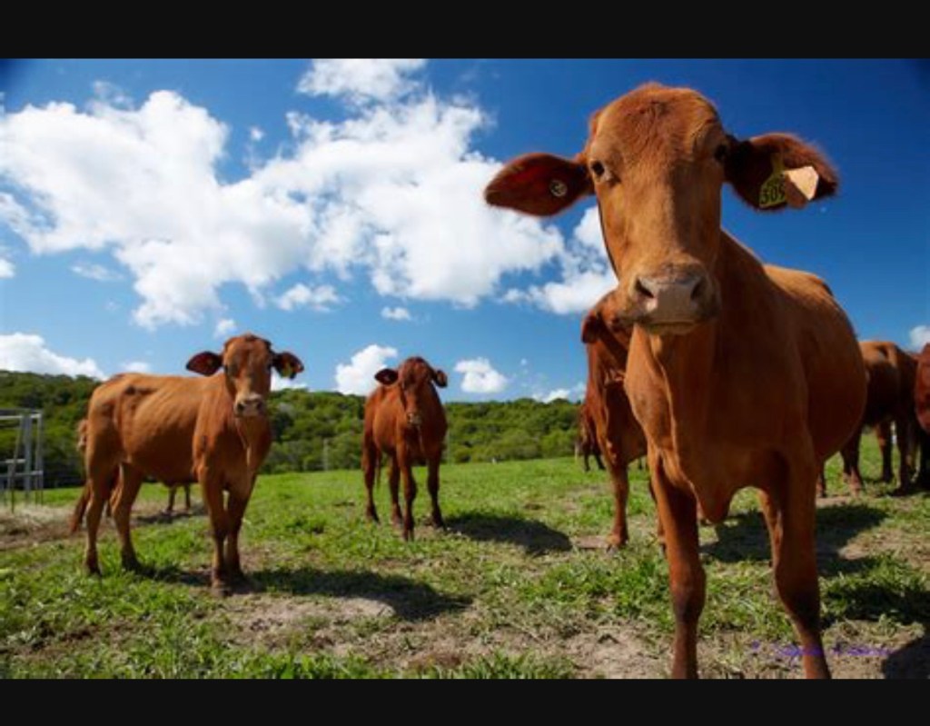 Security for Farmers